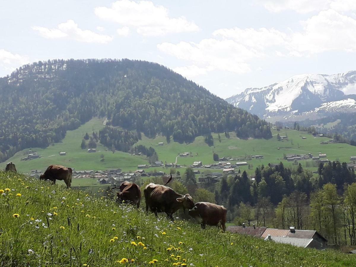 Haus Hagspiel Βίλα Hittisau Εξωτερικό φωτογραφία