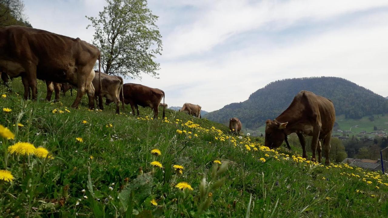 Haus Hagspiel Βίλα Hittisau Εξωτερικό φωτογραφία